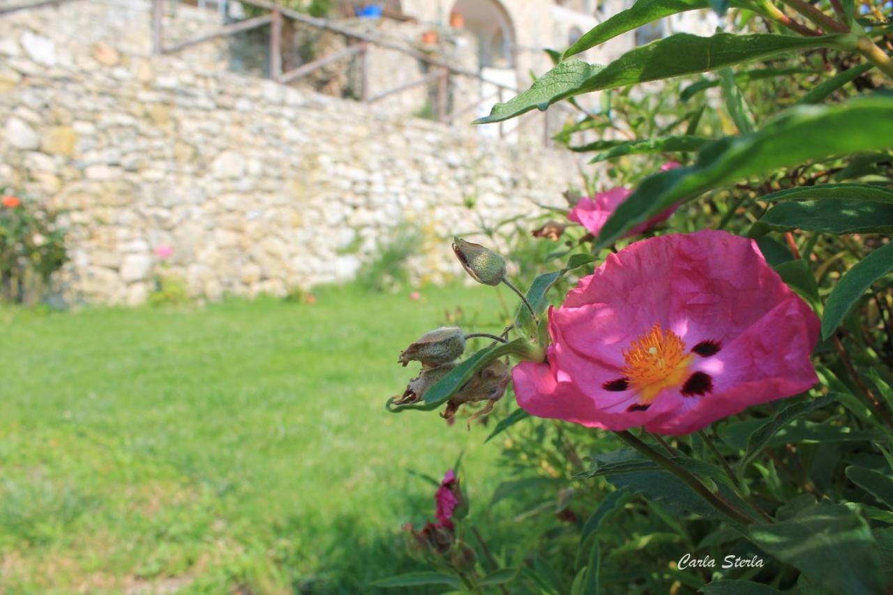 B&B Rubando Le Nuvole Orco Feglino Exterior photo